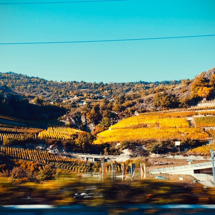 Family terraces and cafés for calm evenings in London